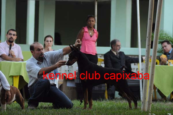 Clique sobre a foto para fechar